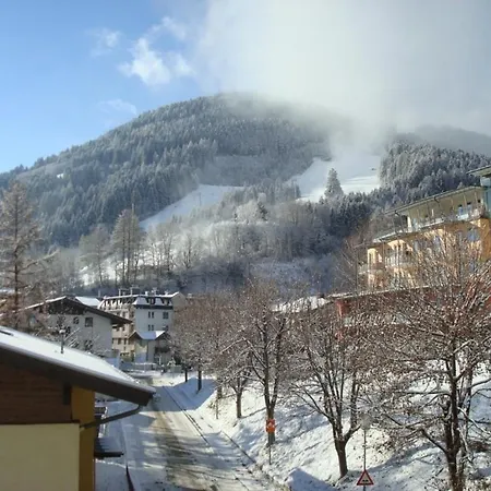 Apartment Basic Apartment Bertl Zell Am See *