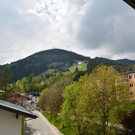 Basic Apartment Bertl Zell Am See